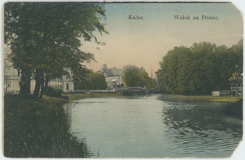 Widok na Prosnę, Kalisz