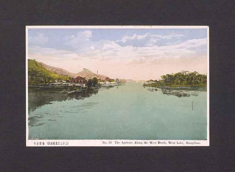 The Apricots Along the West Brook