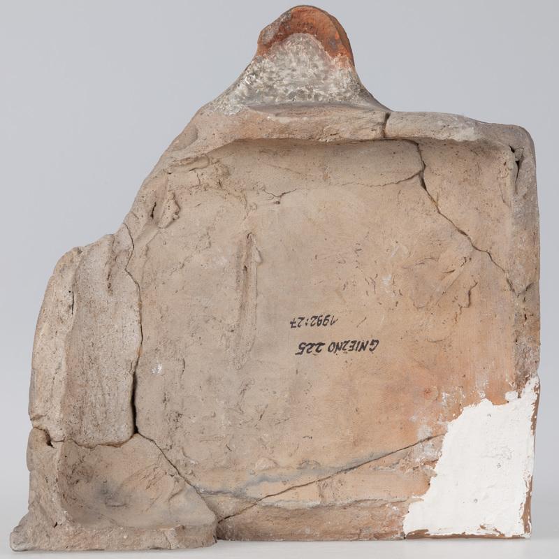 Kafel z tarczownikiem