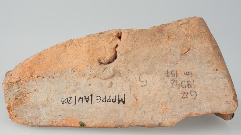 Kafel z herbem Dębno