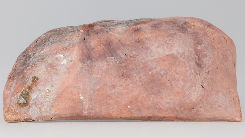 Kafel z tarczownikiem