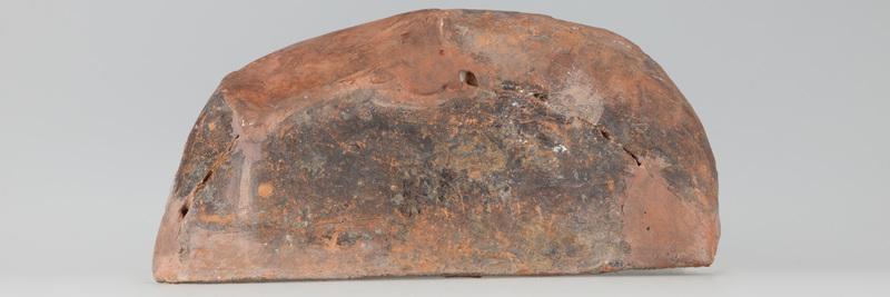 Kafel z tarczownikiem