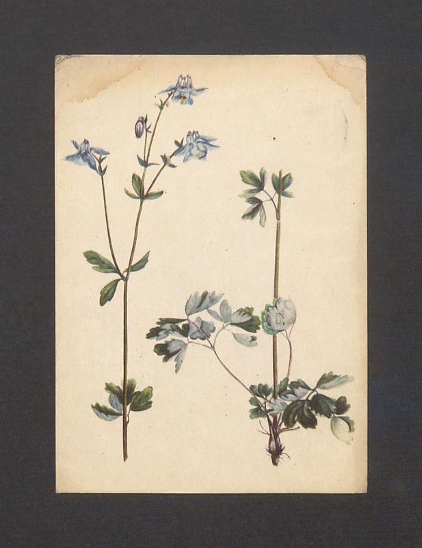 Kochana Basiu! Całuję mocno za kartkę [...]