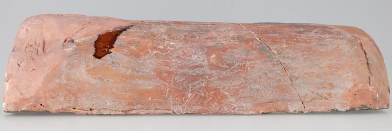 Kafel z tarczownikiem