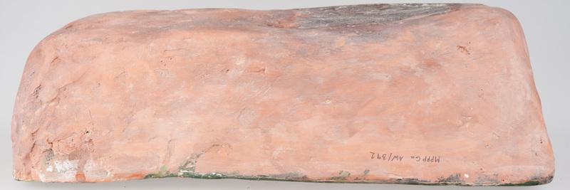 Kafel z tarczownikiem