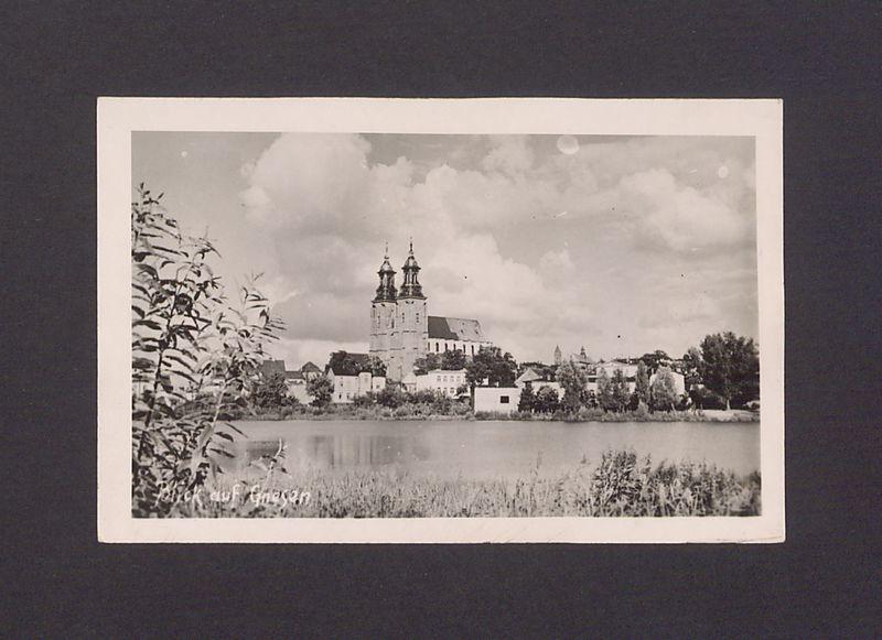 Widok z zachodniego brzegu jeziora Jelonek na gnieźnieńską katedrę.