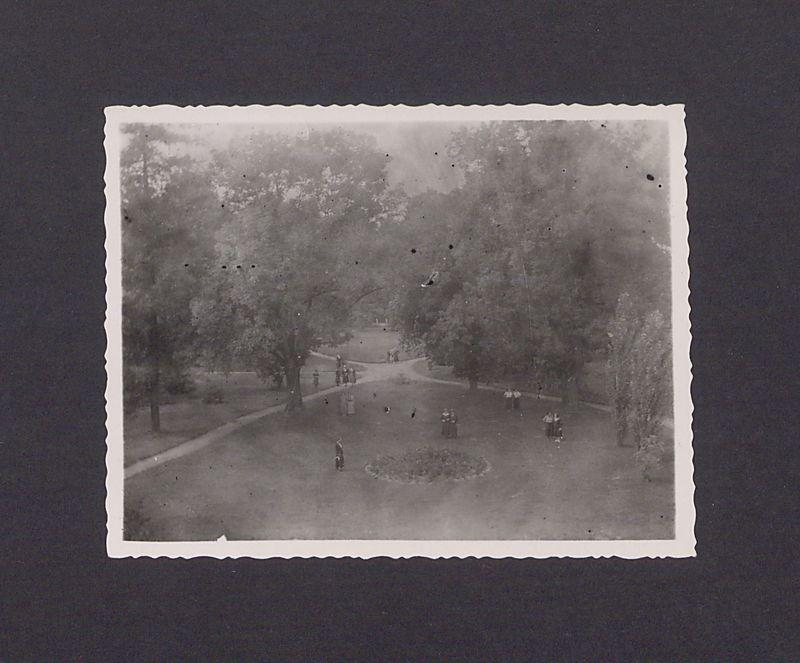 Park Uniwersytetu Ludowego w Dalkach pod Gnieznem.