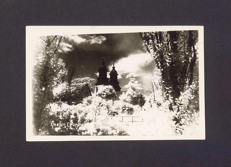 Widok na katedrę z zachodniego brzegu jeziora Jelonek.