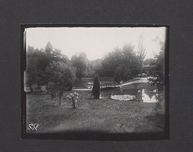 Szklane negatywy Dionizego Scholtza. Park Miejski w Gnieźnie.