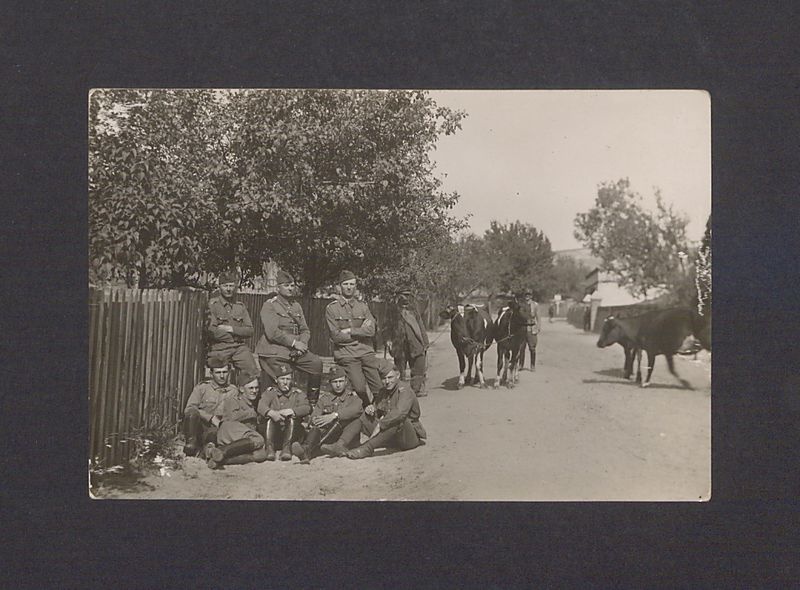 Żołnierze 69 Pułku Piechoty na manewrach w Dymaczewie Starym.