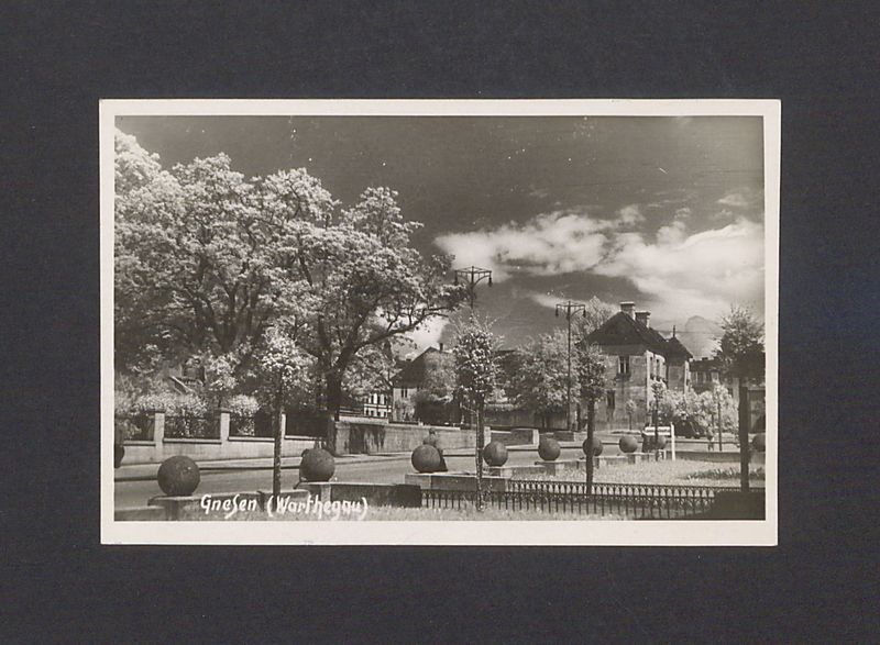 Kanonie przy ul. Łaskiego.