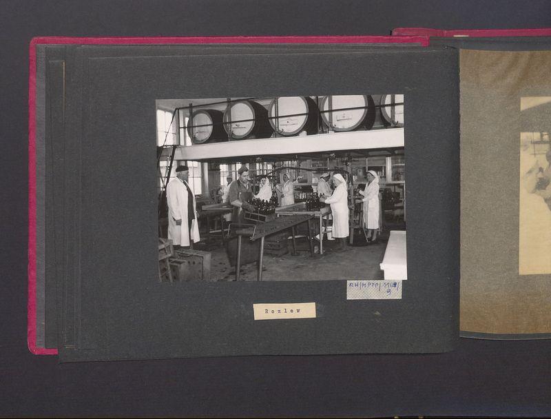 Poszczególne etapy produkcji w Wytwórni Win przy ul. Park Kościuszki 17. Rozlewnia.