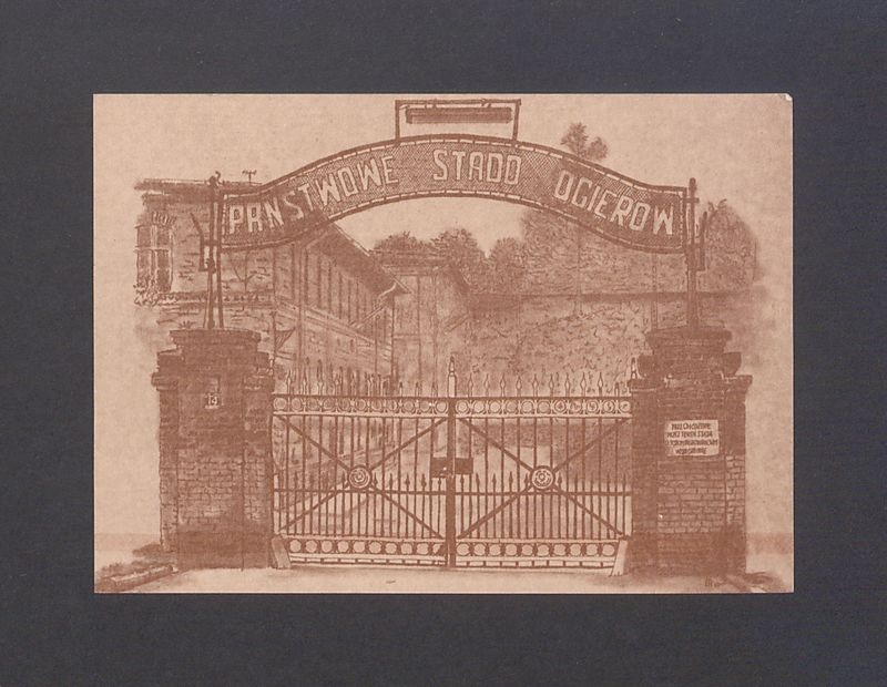 Państwowe Stado Ogierów w Gnieźnie.