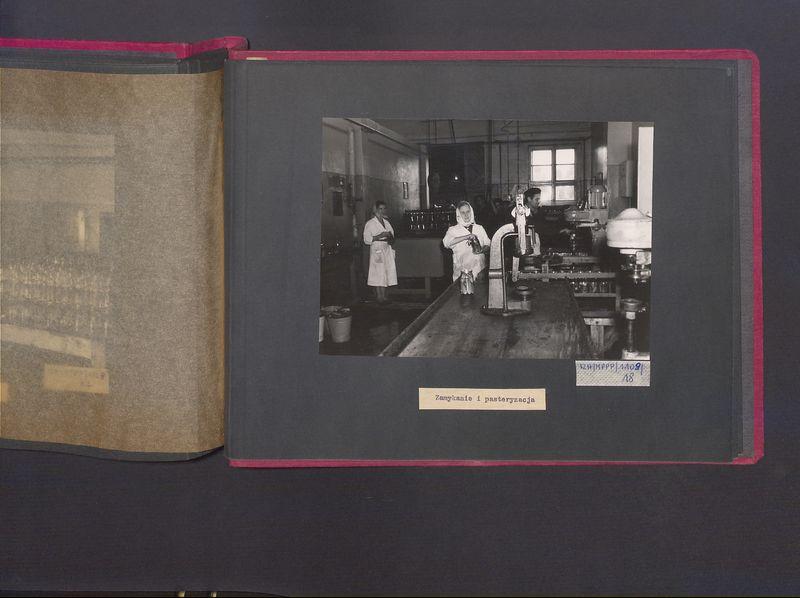 Poszczególne etapy produkcji w Wytwórni Win przy ul. Park Kościuszki 17. Zamykanie i pasteryzacja.