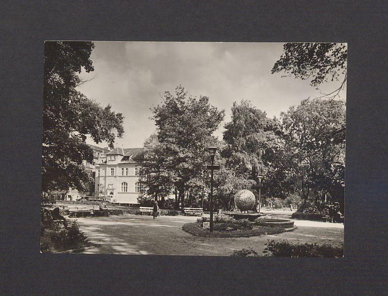 Fragment parku im. Tadeusza Kościuszki.