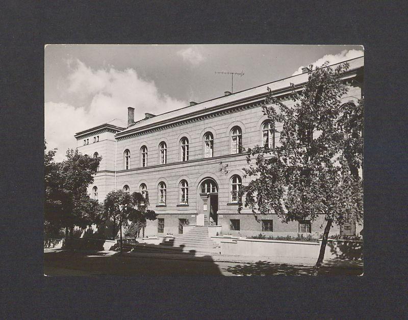 Muzeum Archeologiczne w Gnieźnie.