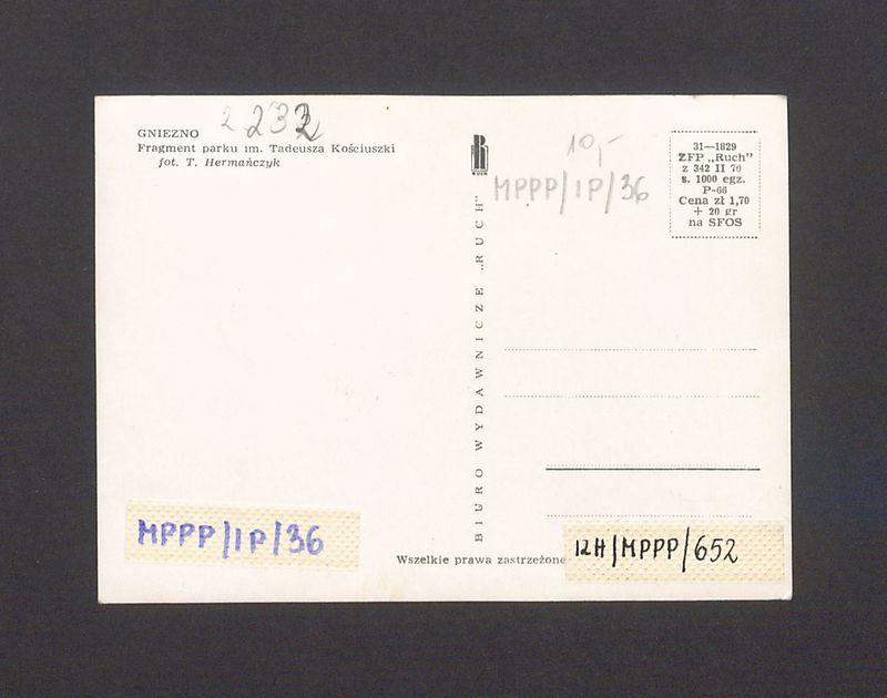 Fragment parku im. T. Kościuszki.