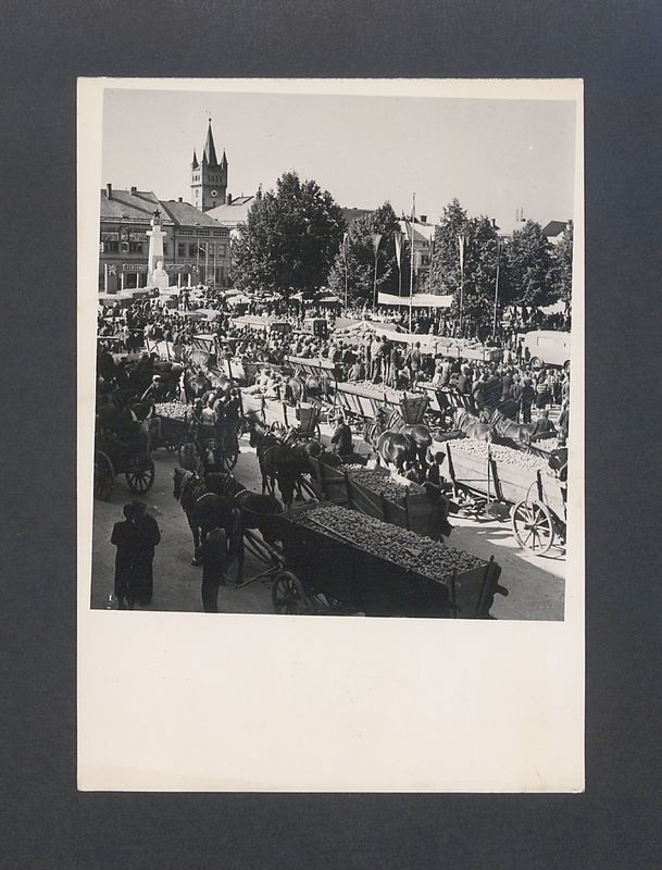 Tadeusz Kulisiewicz, fotografia