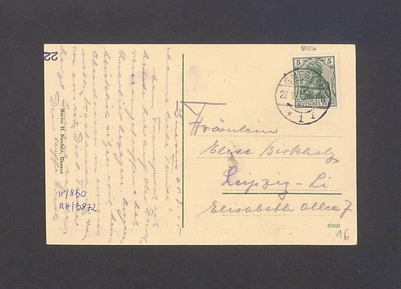 Widok na katedrę w Gnieźnie.