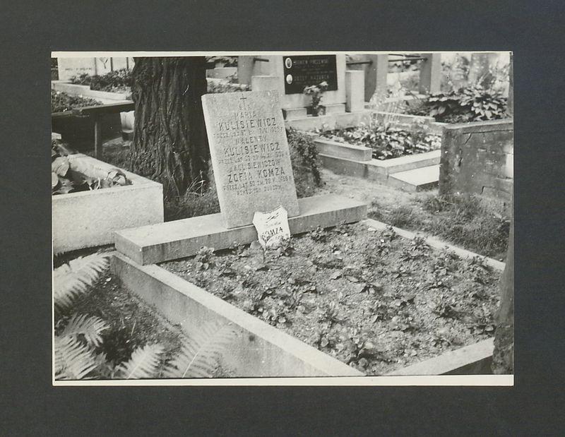 Tadeusz Kulisiewicz, fotografia