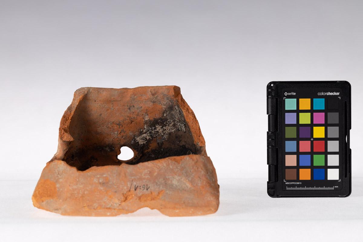 Kafel z motywem roślinnym