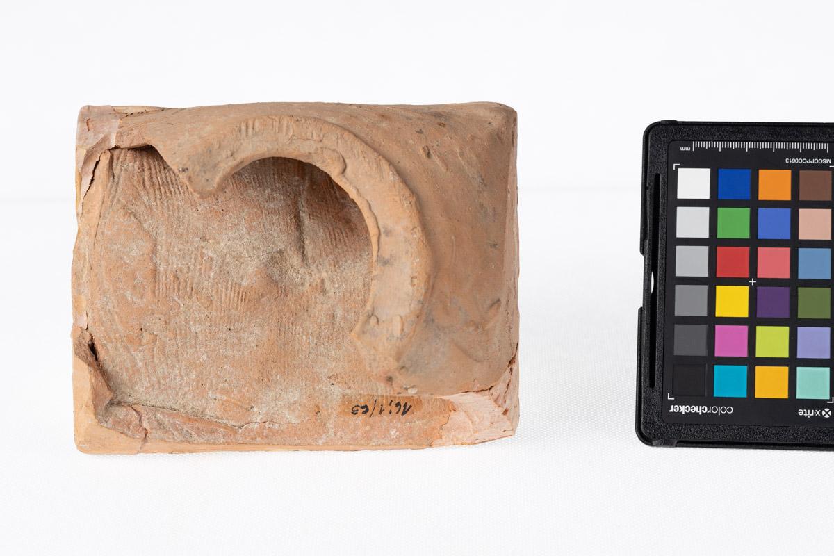 Kafel z motywem roślinnym