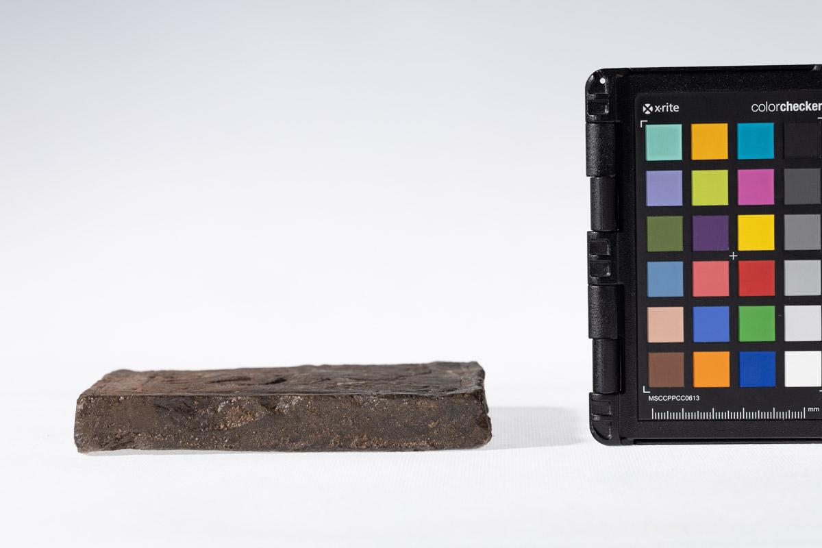 Płytka z motywem gryfa i rozetkami w tle