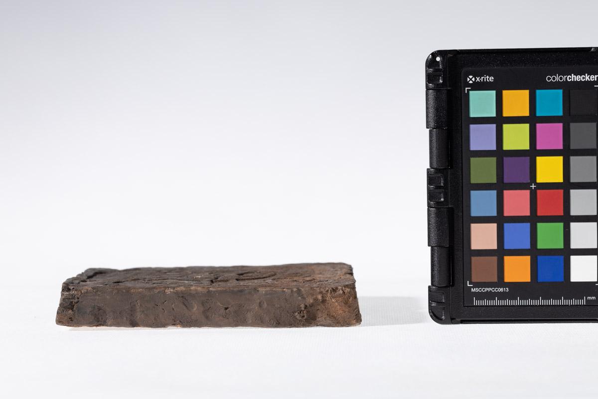 Płytka z motywem gryfa i rozetkami w tle