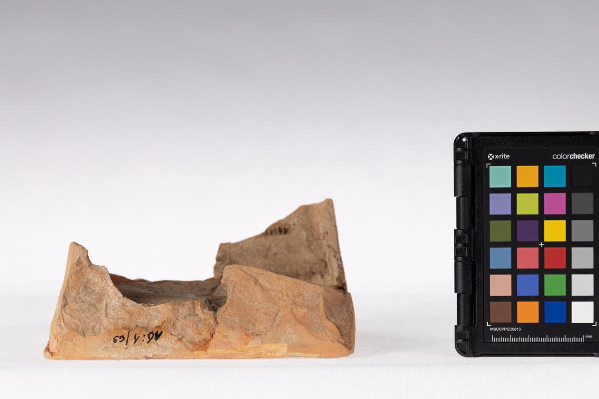 Kafel z motywem roślinnym