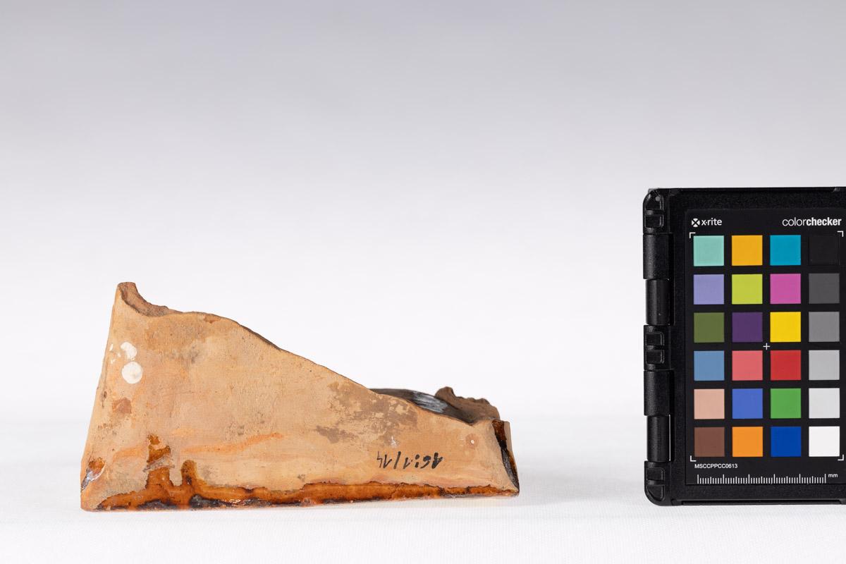 Kafel z motywem roślinnym