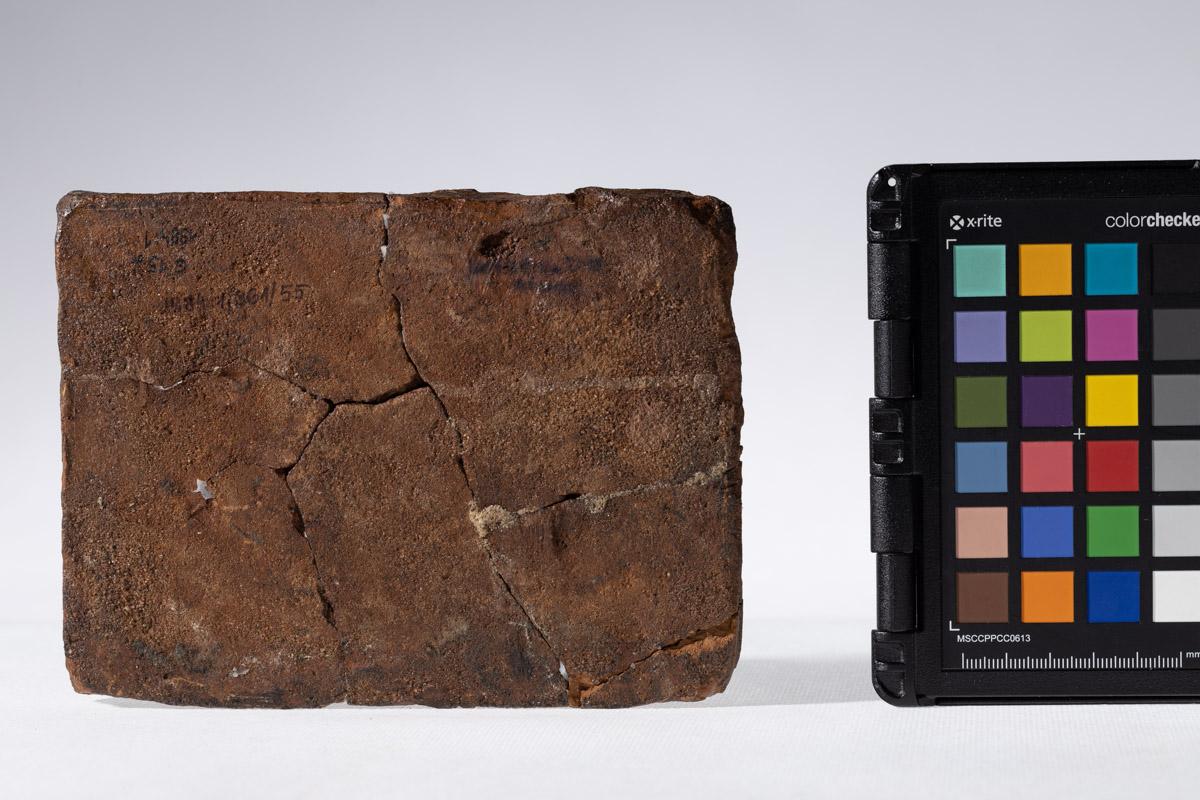 Płytka z wyobrażeniem wojowników