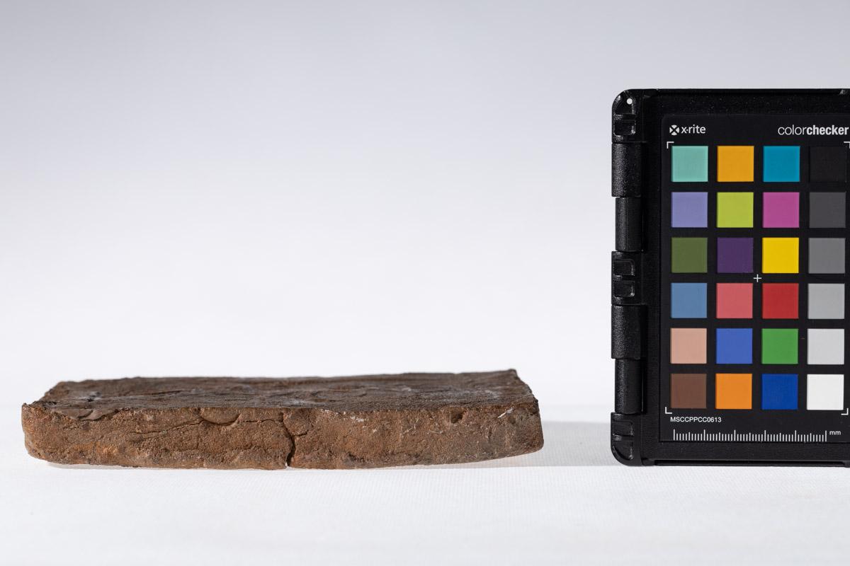 Płytka z wyobrażeniem jeźdźca przy Drzewie Życia