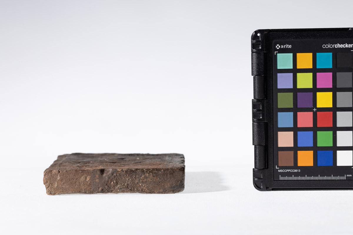 Płytka z motywem gryfa i rozetkami w tle