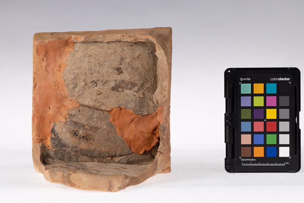 Kafel z motywem roślinnym