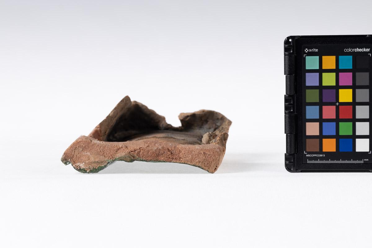 Kafel z motywem roślinnym