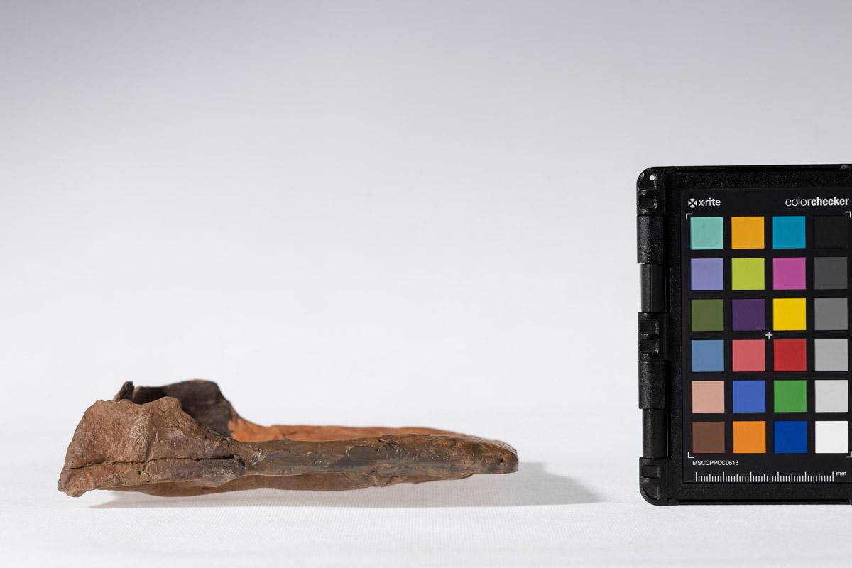 Kafel z motywem jelenia