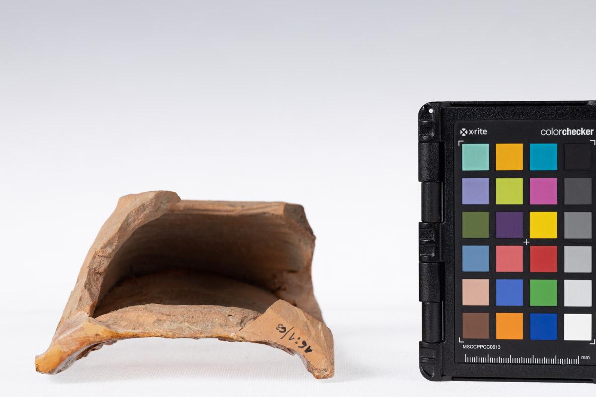 Kafel z motywem roślinnym