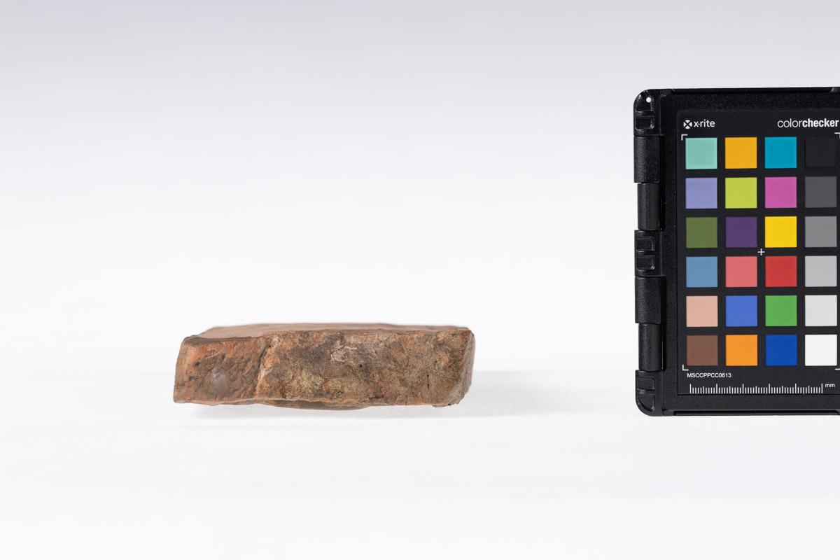 Płytka z wyobrażeniem gryfa