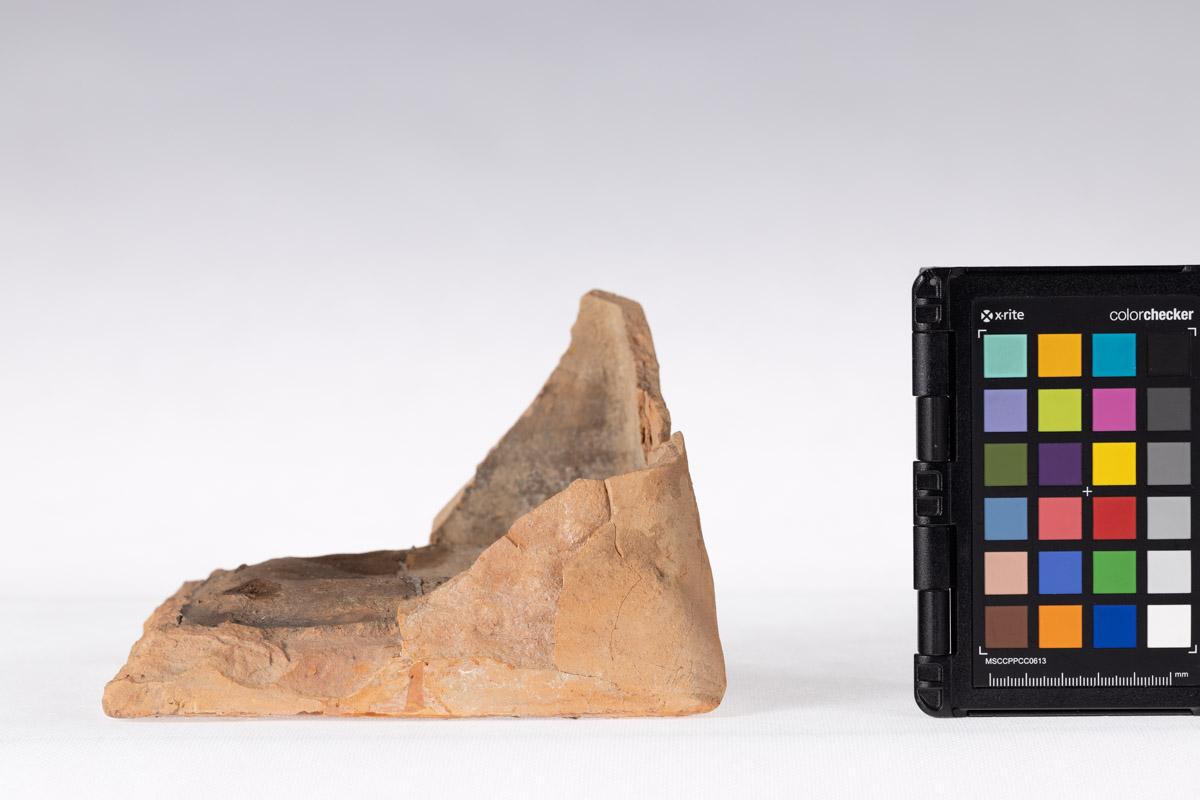 Kafel z motywem roślinnym