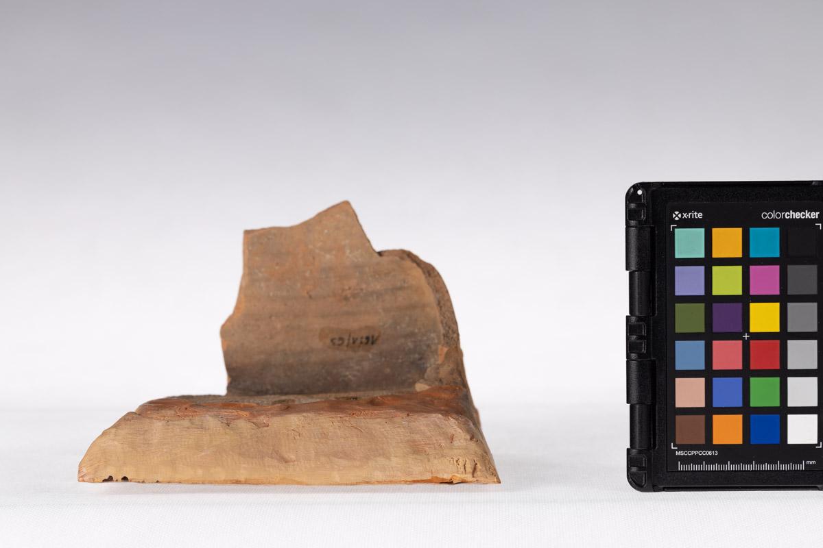 Kafel z motywem roślinnym