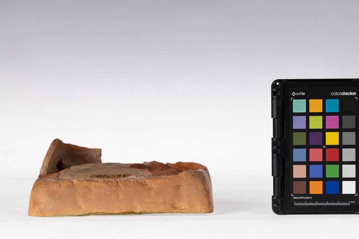 Kafel z motywem roślinnym