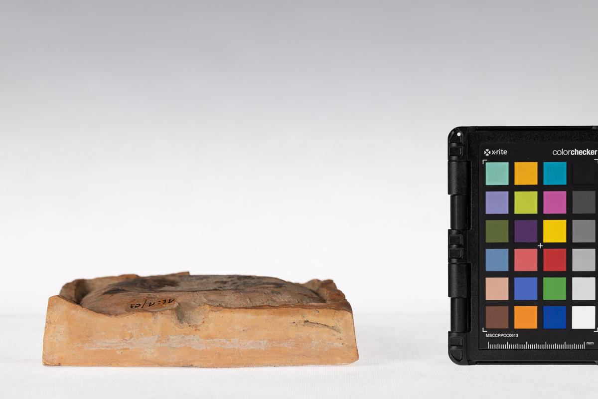 Kafel z motywem roślinnym