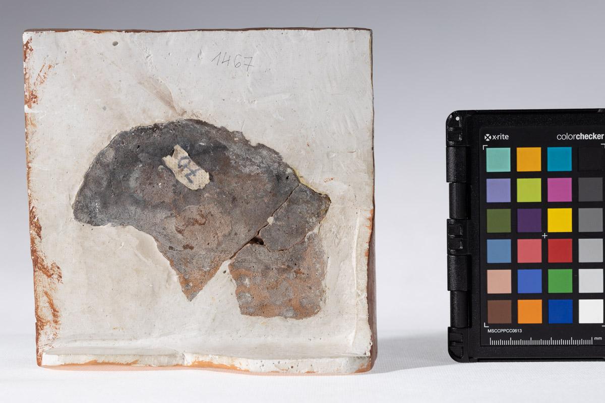 Kafel z motywem hybryd