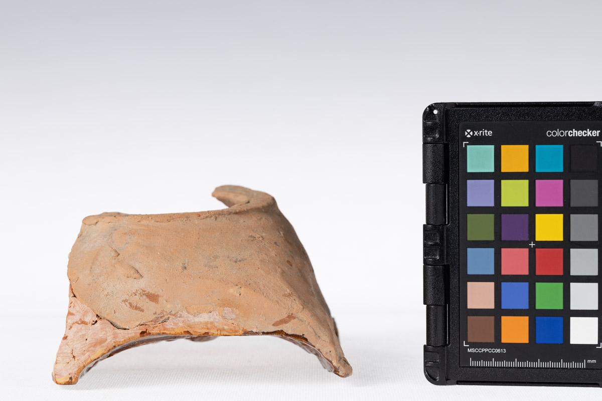 Kafel z motywem roślinnym