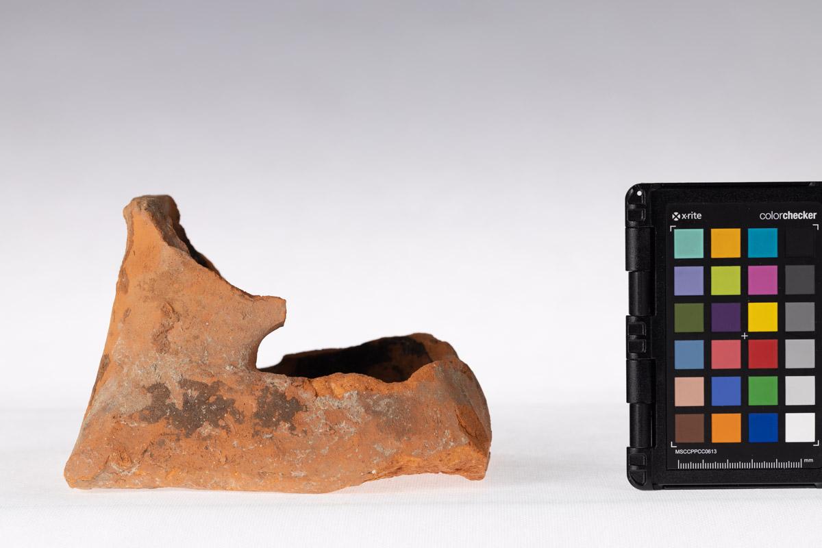 Kafel z motywem roślinnym