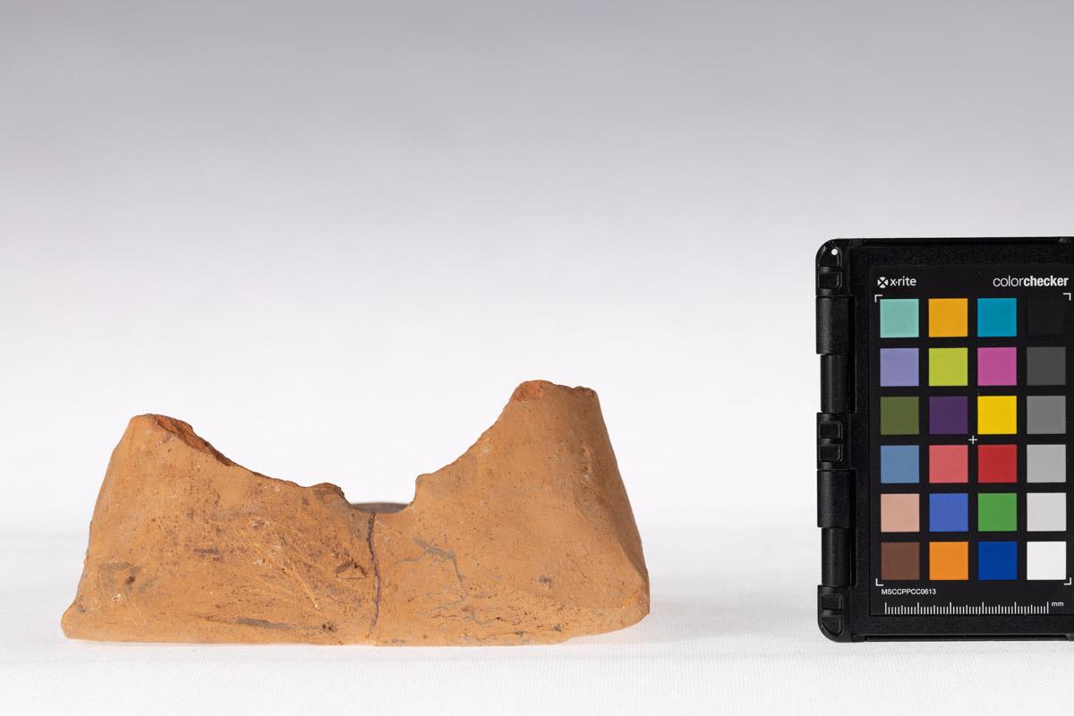 Kafel z motywem roślinnym