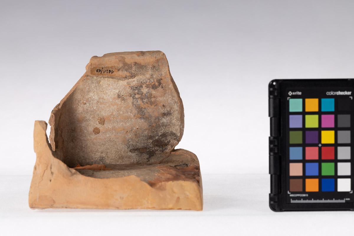 Kafel z motywem roślinnym