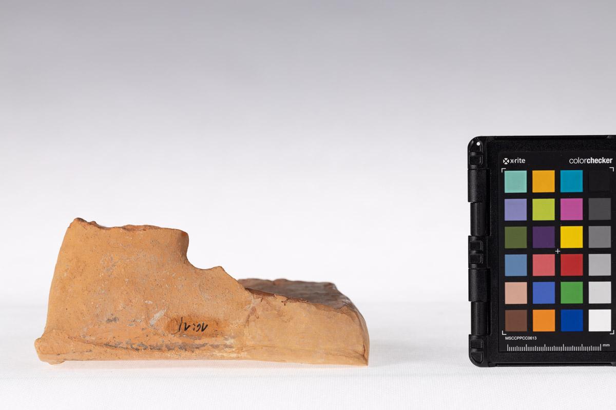 Kafel z motywem roślinnym