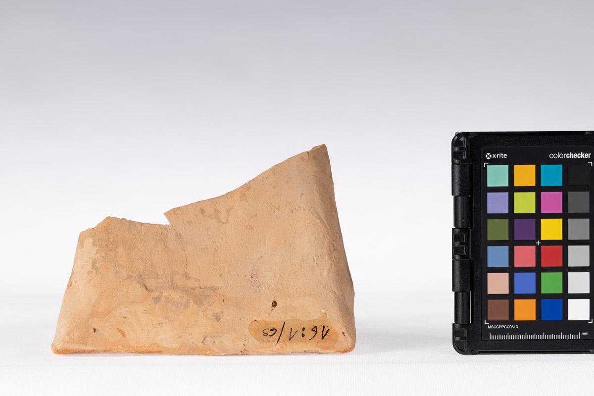 Kafel z motywem roślinnym