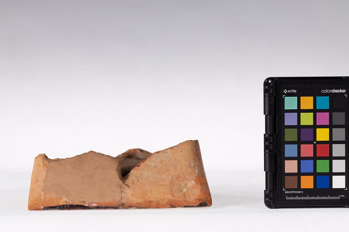 Kafel z motywem roślinnym